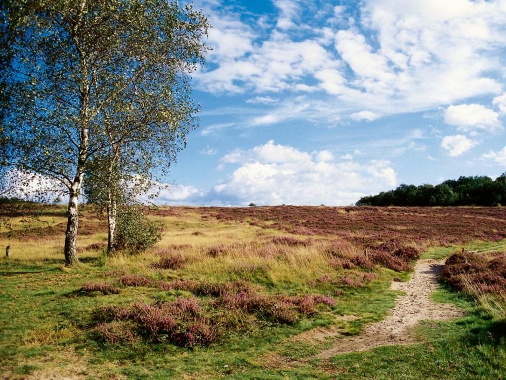 Landal Hunerwold State 호텔 Wateren 외부 사진